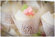 Nancy and Scott - Settles Hill Banquets & Events - Matt McClosky Photography